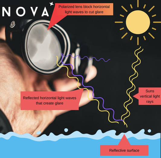 What are polarized lenses?