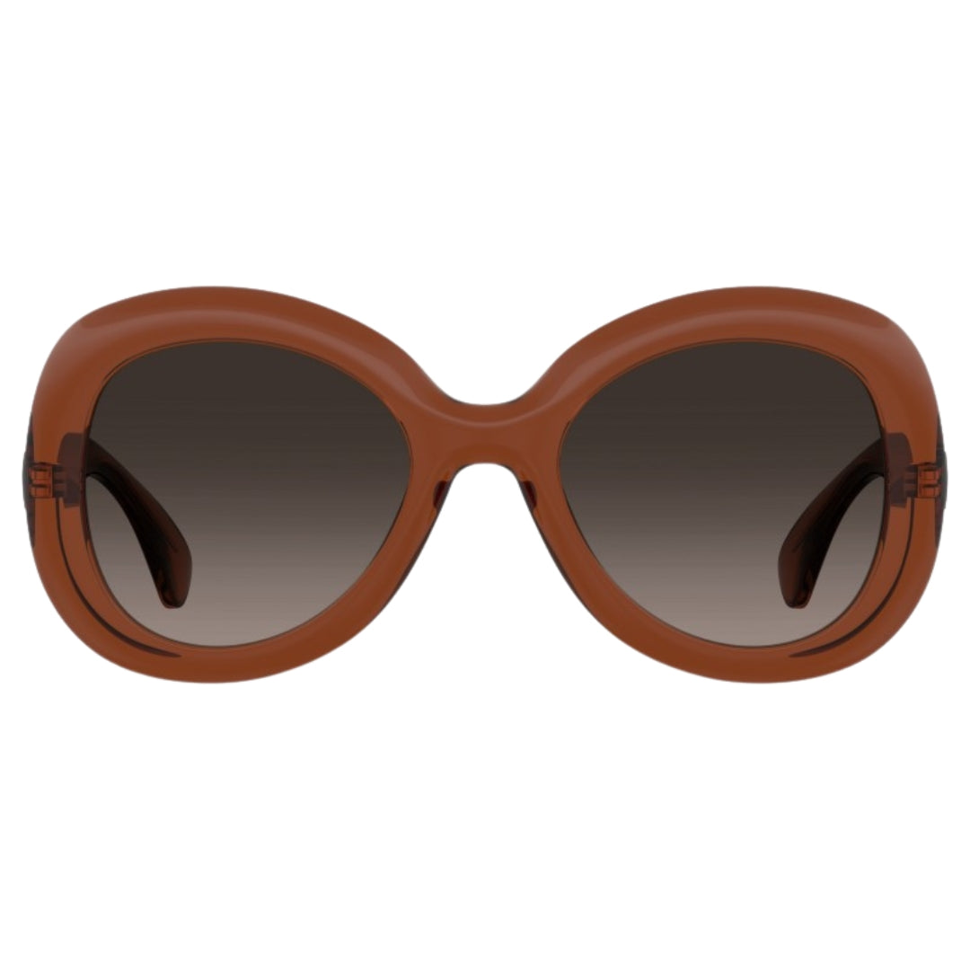 Moschino Brown SF Lens Brown Rounded Sunglasses