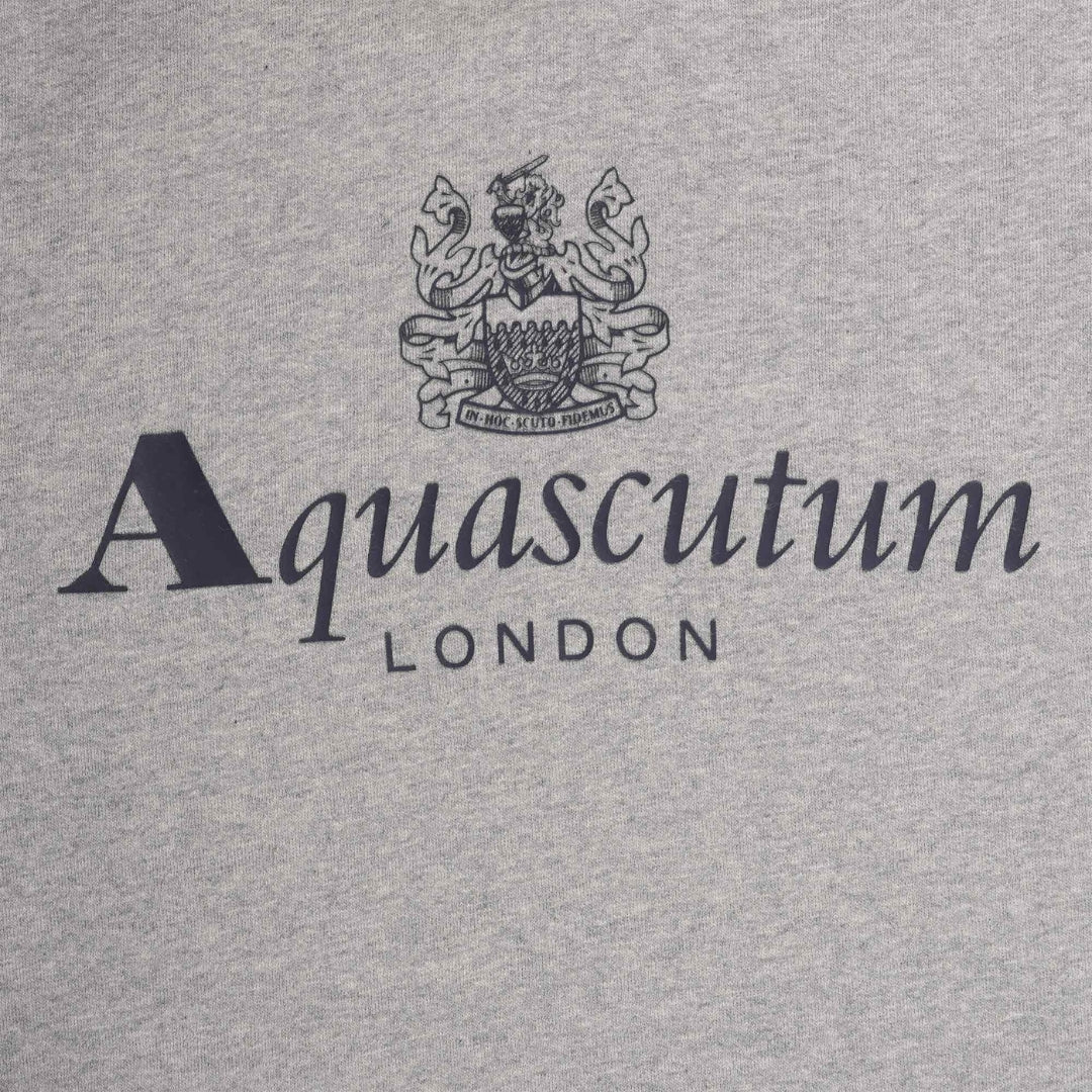 ACTIVE BIG LOGO HOODIE FLEECE LIGHT MELANGE GREY S