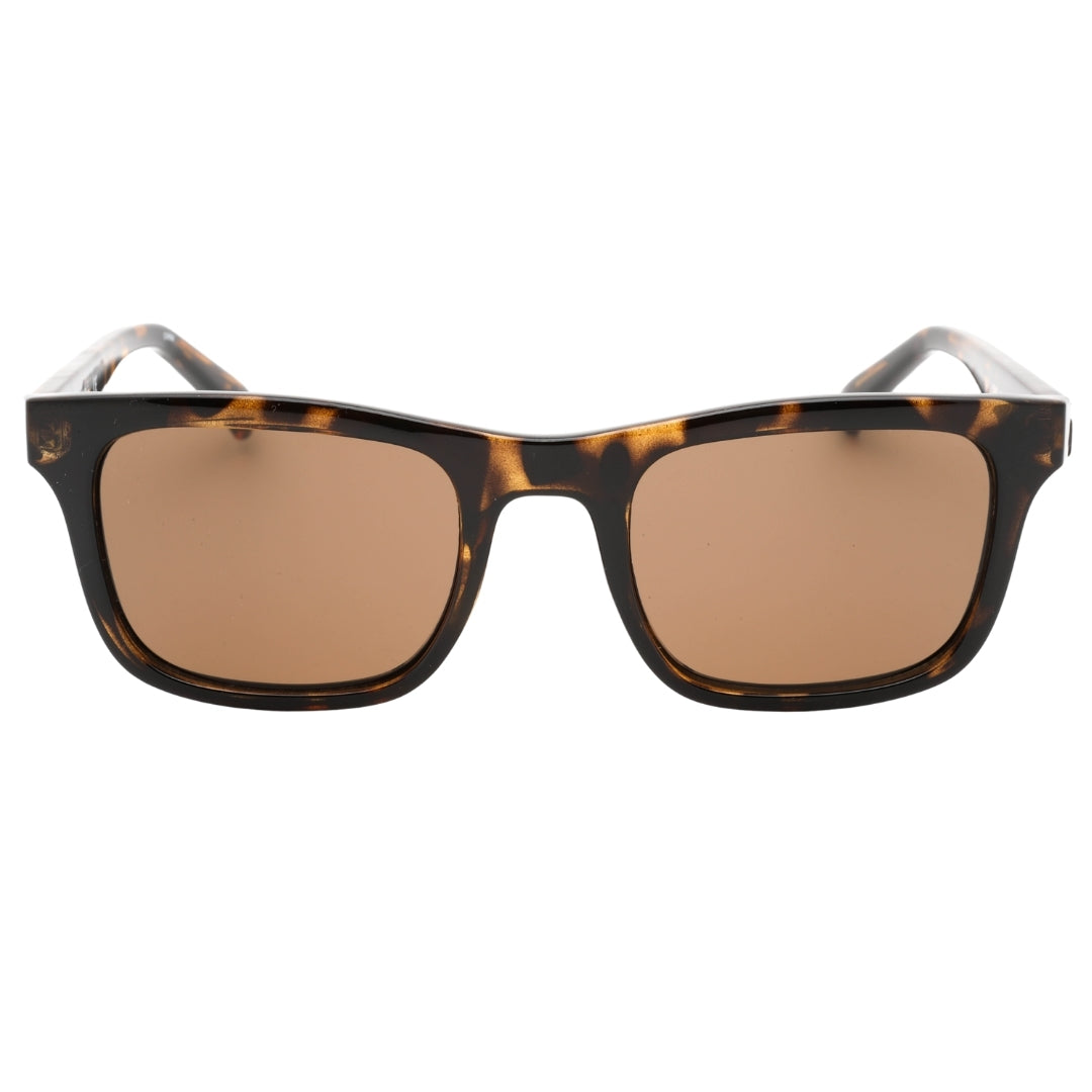Calvin Klein Brown Lens Tortoise Brown Sunglasses