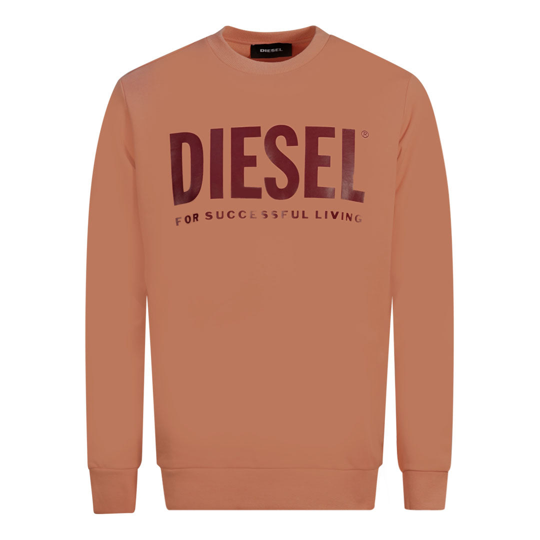 Diesel S Division Logo Pink Sweater
