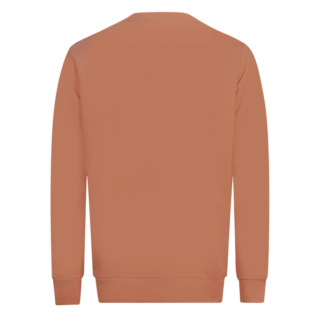 Diesel S Division Logo Pink Sweater