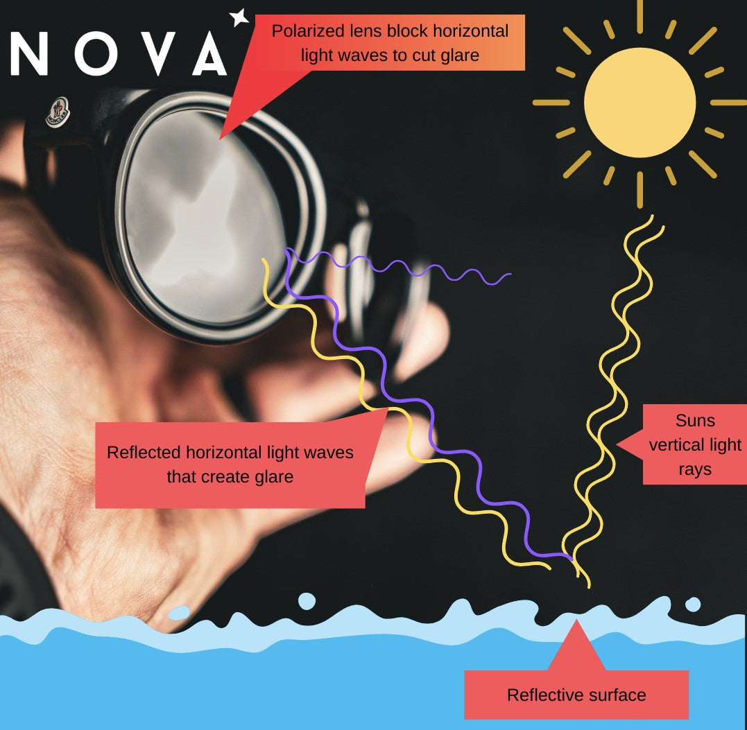 What are polarized lenses?
