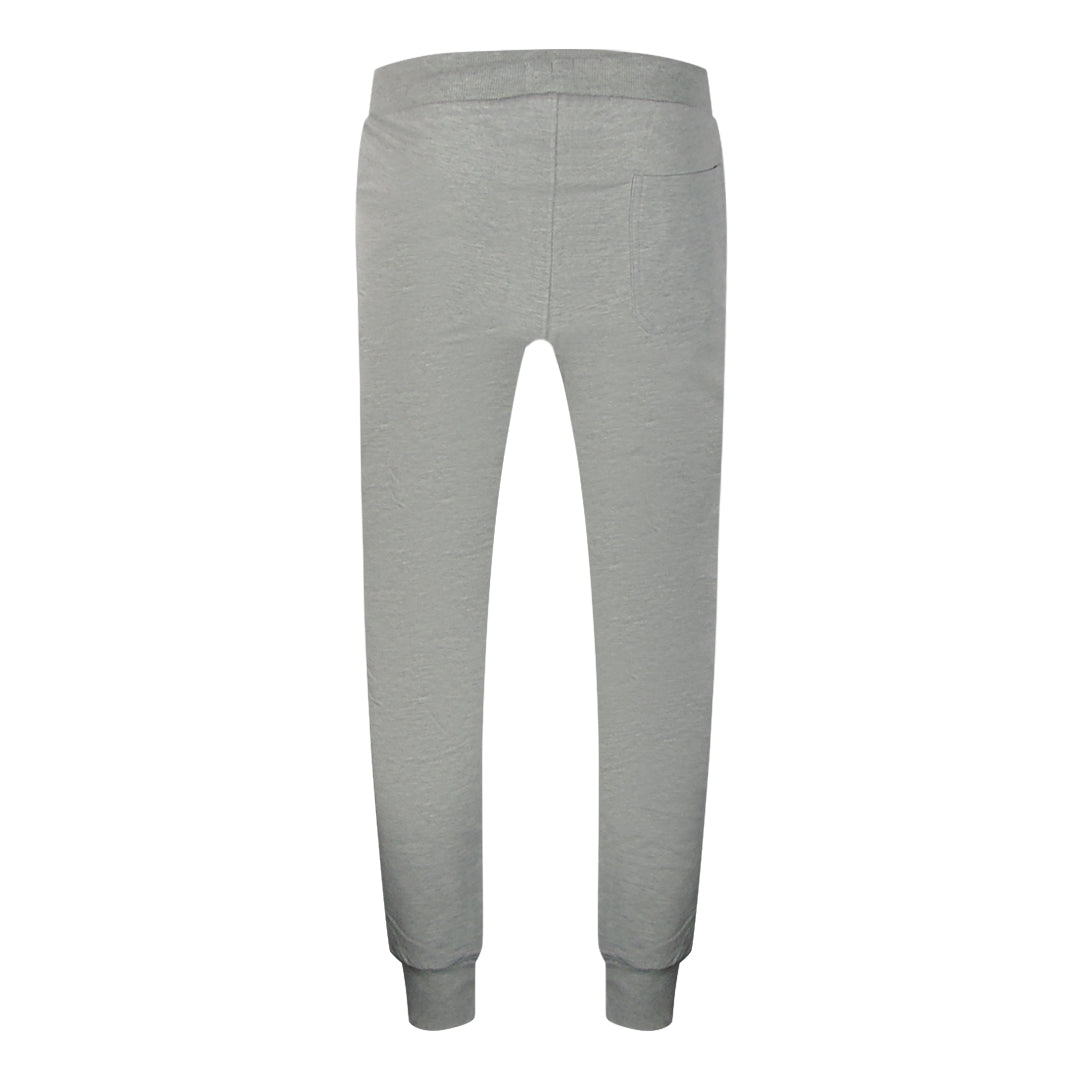 Aquascutum Iconic Crest  Crew Neck Grey Track Set